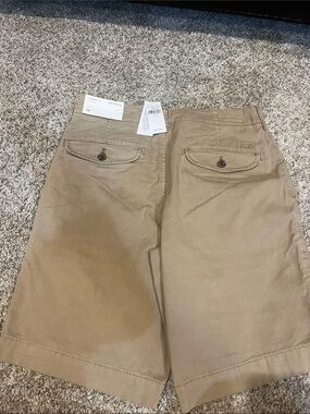 American Eagle Outfitters Khaki Flat Front Men’s Shorts
